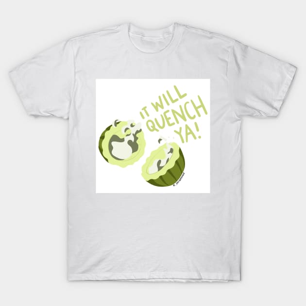 Drink Cactus Juice Avatar the Last Airbender Quote T-Shirt by jacqstoned